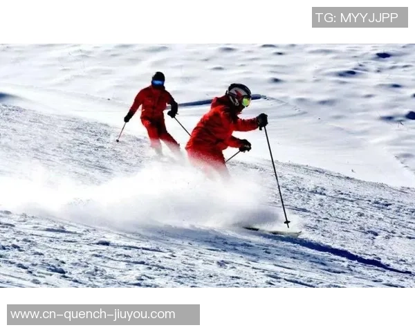 我国滑雪跑出“芳华加速度”